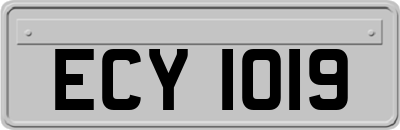 ECY1019
