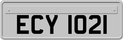 ECY1021
