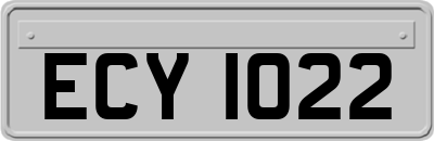 ECY1022