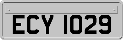 ECY1029
