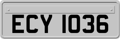 ECY1036