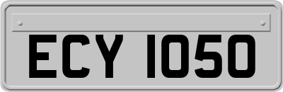 ECY1050