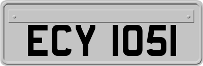 ECY1051