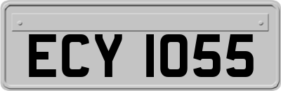 ECY1055