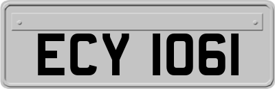 ECY1061