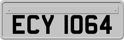 ECY1064