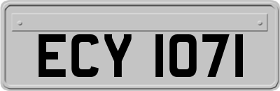 ECY1071