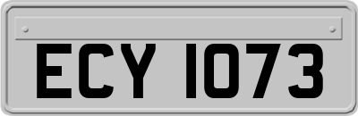 ECY1073