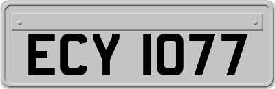 ECY1077