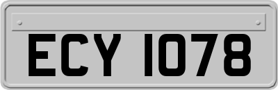 ECY1078