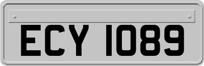 ECY1089