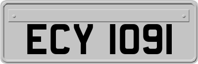 ECY1091