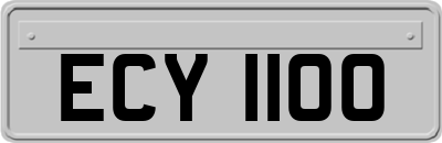 ECY1100