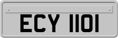 ECY1101