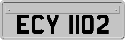 ECY1102
