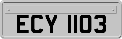 ECY1103