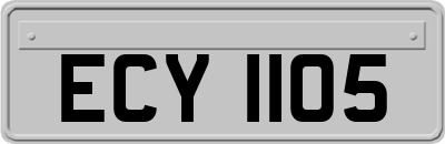 ECY1105