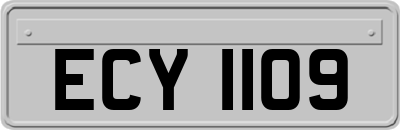 ECY1109