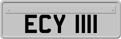 ECY1111
