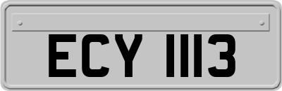 ECY1113