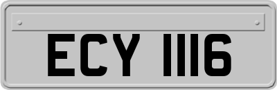 ECY1116