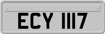ECY1117