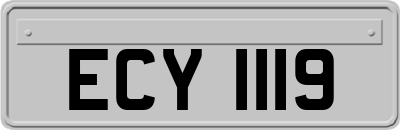 ECY1119