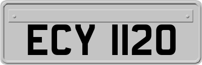 ECY1120