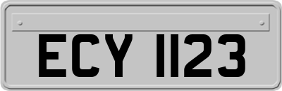 ECY1123