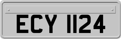 ECY1124