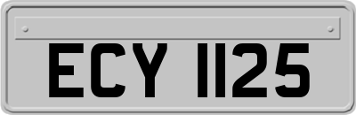 ECY1125
