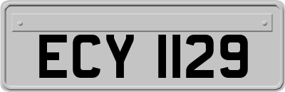 ECY1129