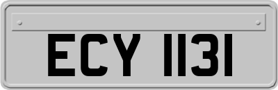 ECY1131