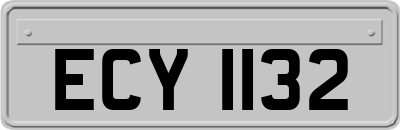 ECY1132