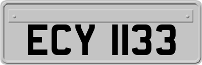 ECY1133