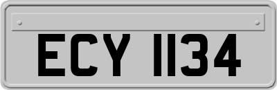 ECY1134
