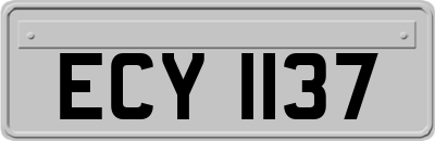 ECY1137