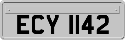 ECY1142