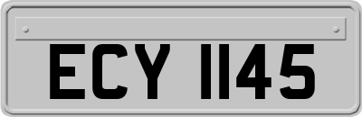 ECY1145