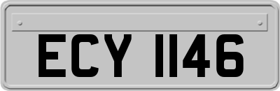 ECY1146