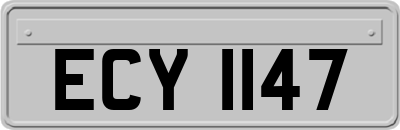 ECY1147