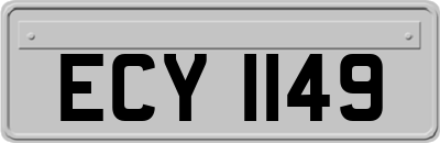 ECY1149