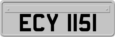 ECY1151