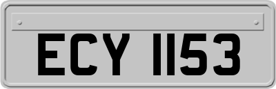 ECY1153