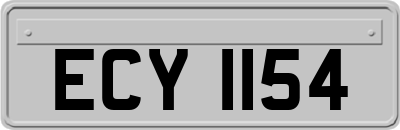 ECY1154