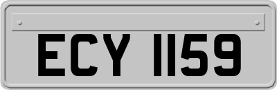ECY1159