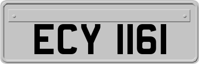 ECY1161