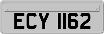 ECY1162