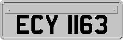 ECY1163