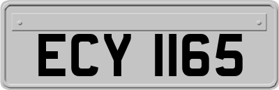ECY1165